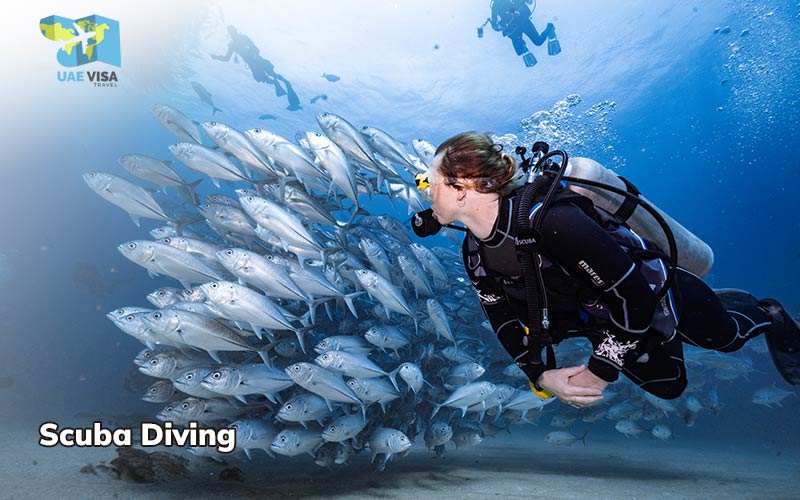 Adventure Activities in Dubai  