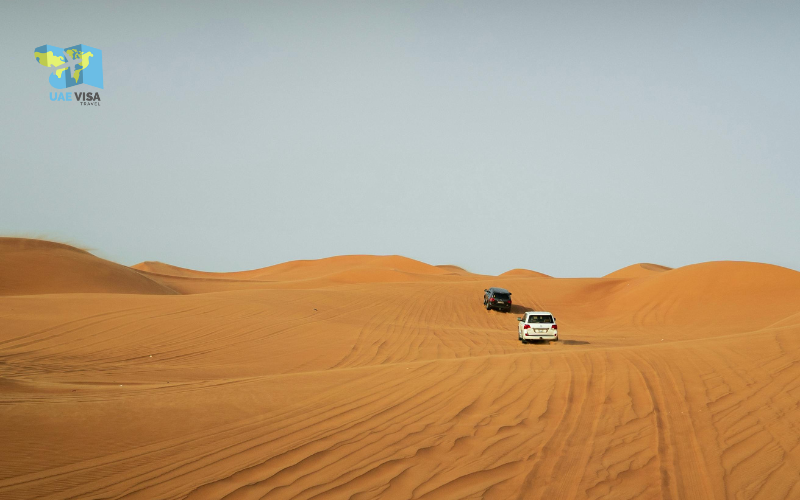 Top 10 Things To Do In Dubai 2026 for International Travellers